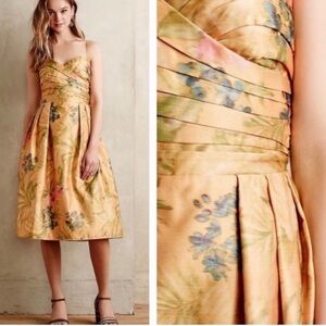 ANTHROPOLOGIE James Coviello Botanical Dress Sz 12